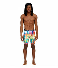 Load image into Gallery viewer, CULT BRIEFS  2 PACK &quot;PARADISE&quot; PRINT/SURF BLUE SOLID