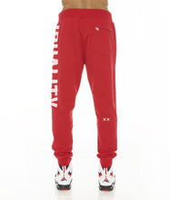 Load image into Gallery viewer, ZIP HOODY W/MATCHING SWEAT PANT (SOLD AS SET)